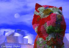 bien lune.jpg